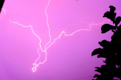 雷
