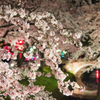 夜桜