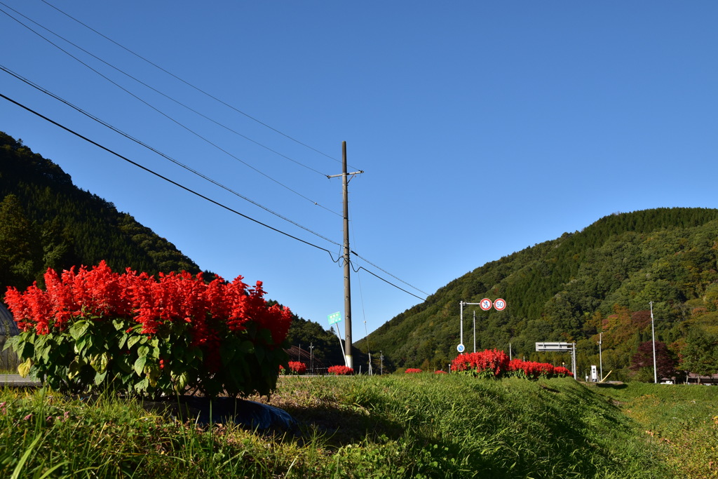 せせらぎ街道　大原