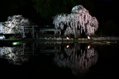 青屋神明神社