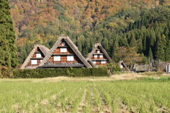 白川郷　合掌造