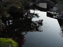 ママ　カエルのを待ってるのかな？