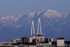 新湊大橋