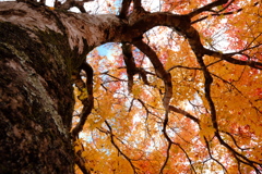 高山市久々野 ふるさと公園