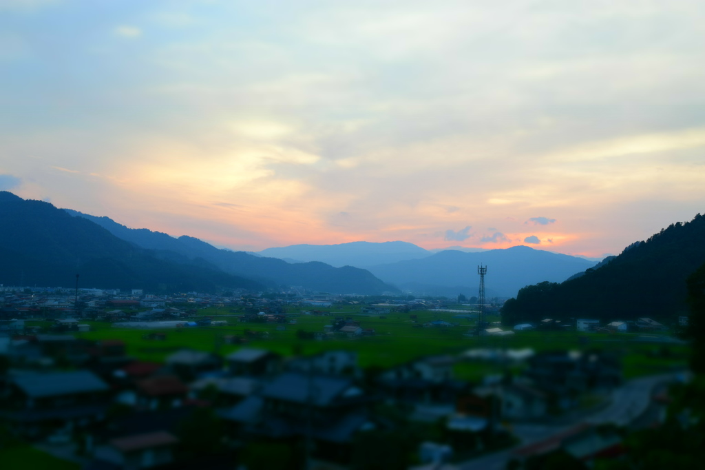 のどかだなぁ…