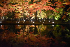 曾木公園　逆さ紅葉