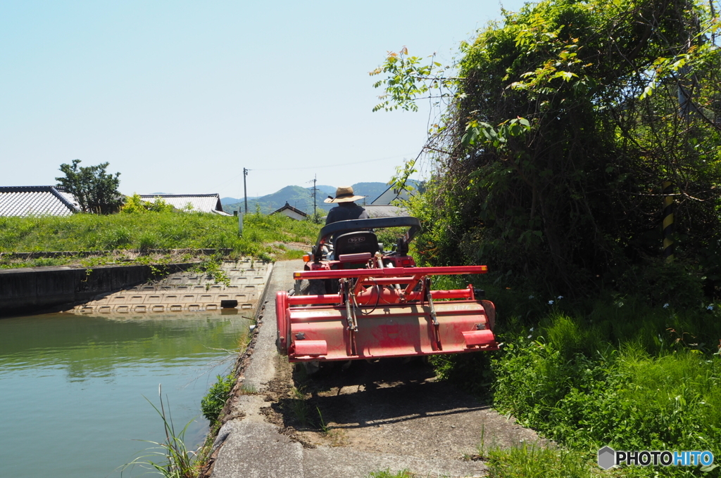 ５月、田植え