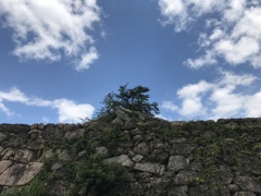 天空の城 竹田城の２３