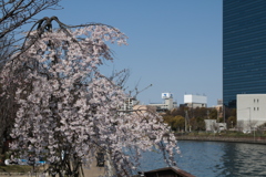 大阪城公園4