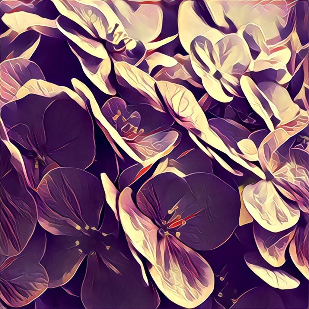 陽光
