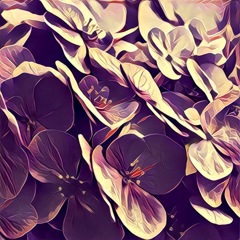 陽光