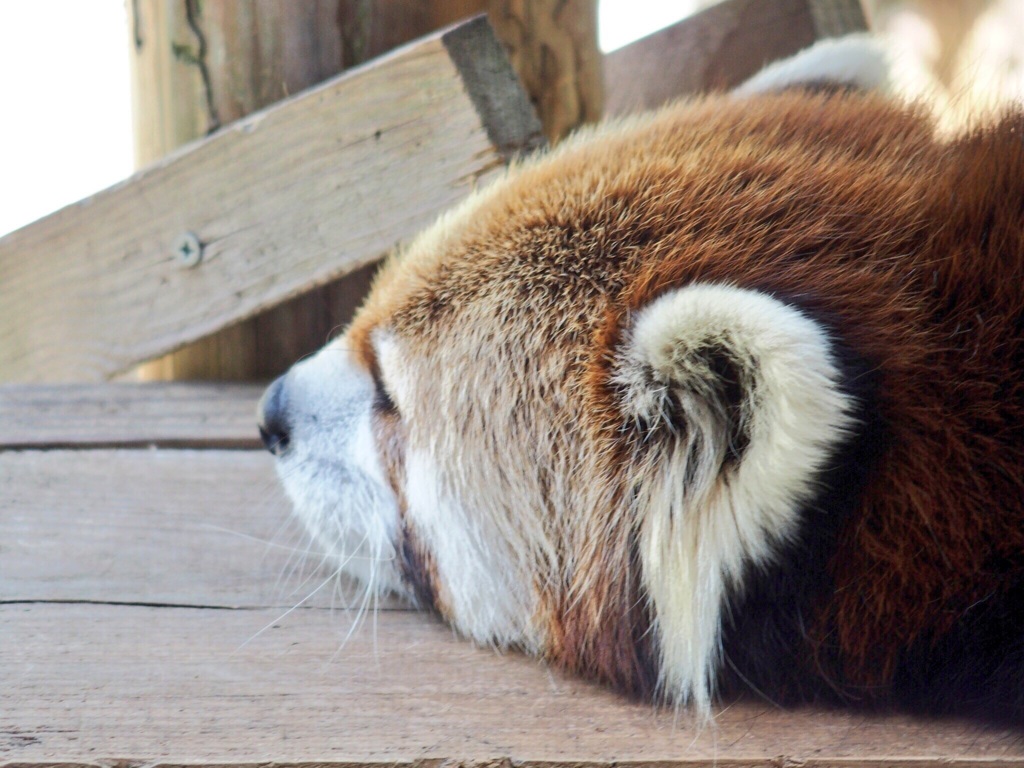 午後