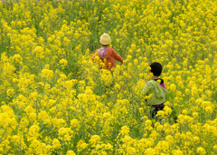 小人の黄昏