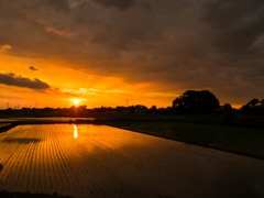 雨上がりの夕日