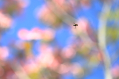 飛行中