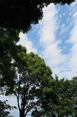 いい天気