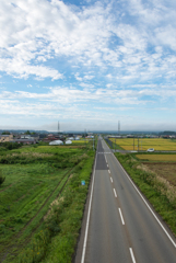 まっすぐ伸びた道