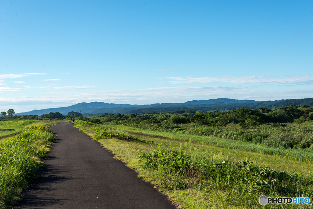 早朝のサイクリングロード
