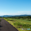 早朝のサイクリングロード