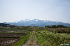 鳥海山 遠景
