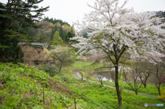 手這坂