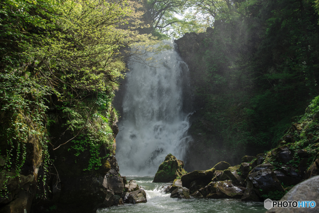 奈曽の白滝（なそのしらたき）