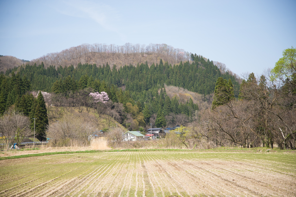 里山風景