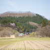 里山風景