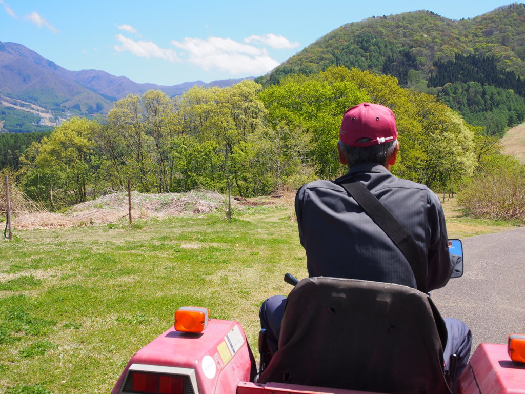 おっちゃんの背中