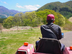 おっちゃんの背中