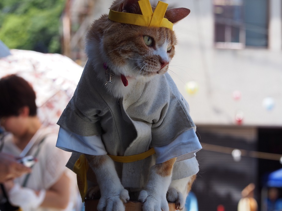 法被姿の「みいこ」