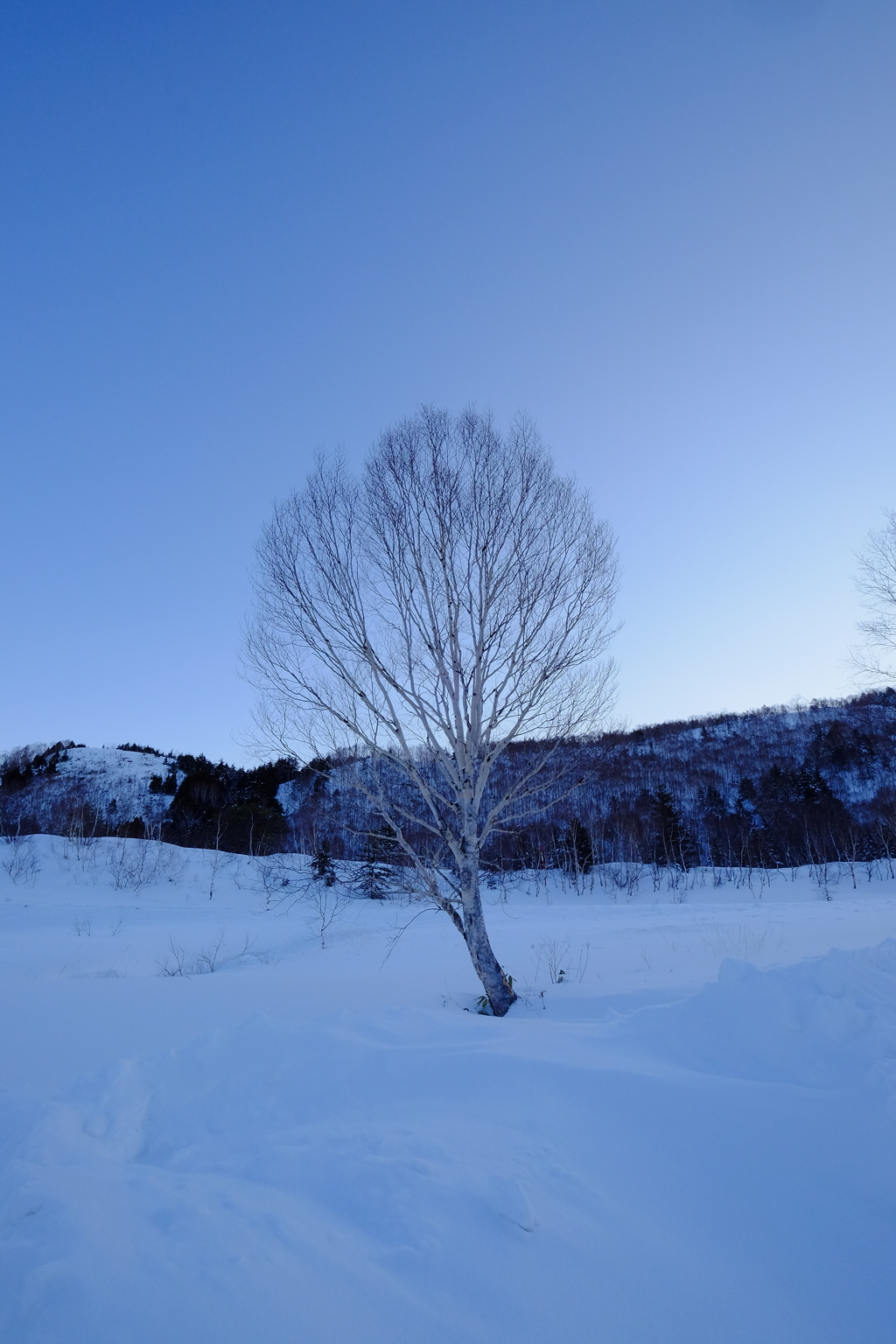 志賀高原の冬