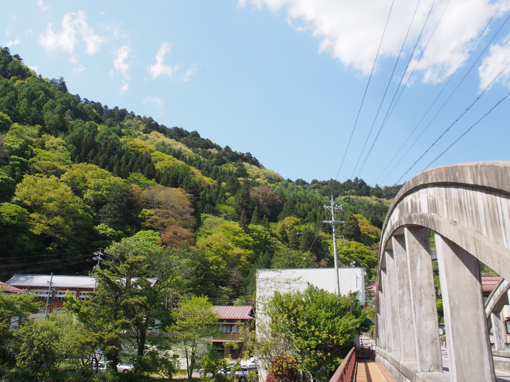 山の緑が美しい