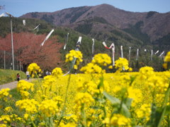 飯山の春