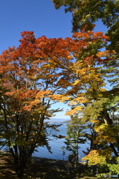 紅葉とさざ波