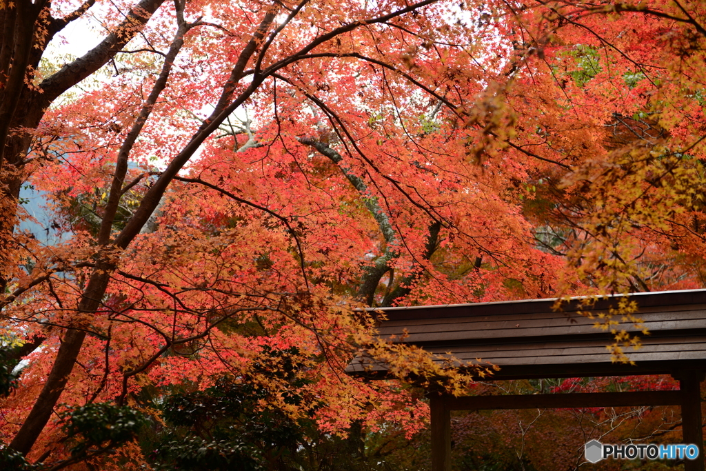 南禅寺