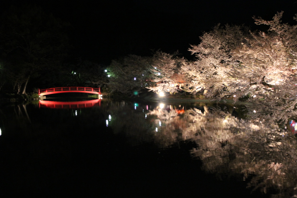 池に映る桜