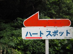 ハートスポット