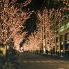 煌びやか