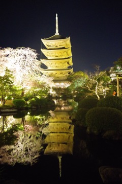 東寺 ライトアップ