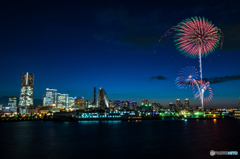 初夏の夜空に咲く花