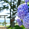 海と神社と紫陽花と