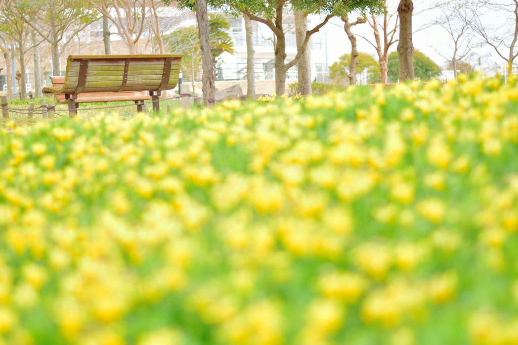 パステルカラーの春が来た♪