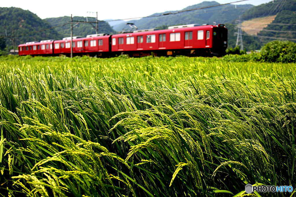 田園列車