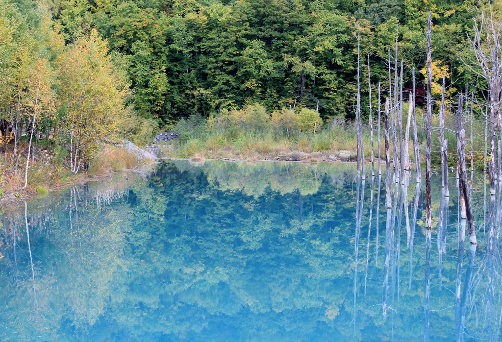 IMG_9324 青い池その3