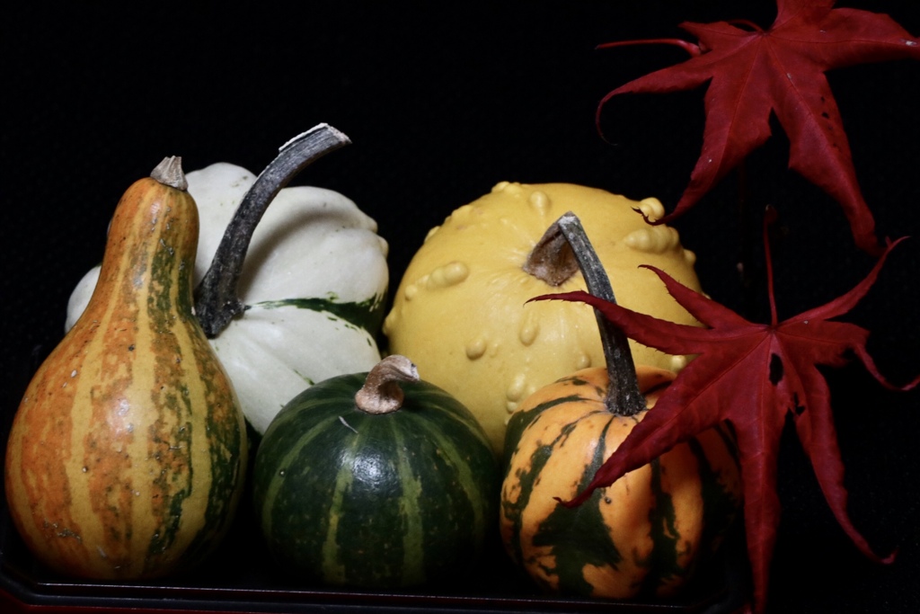 60CE0DC3-FE68-4865-A559-6AE680F6A383