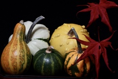 60CE0DC3-FE68-4865-A559-6AE680F6A383