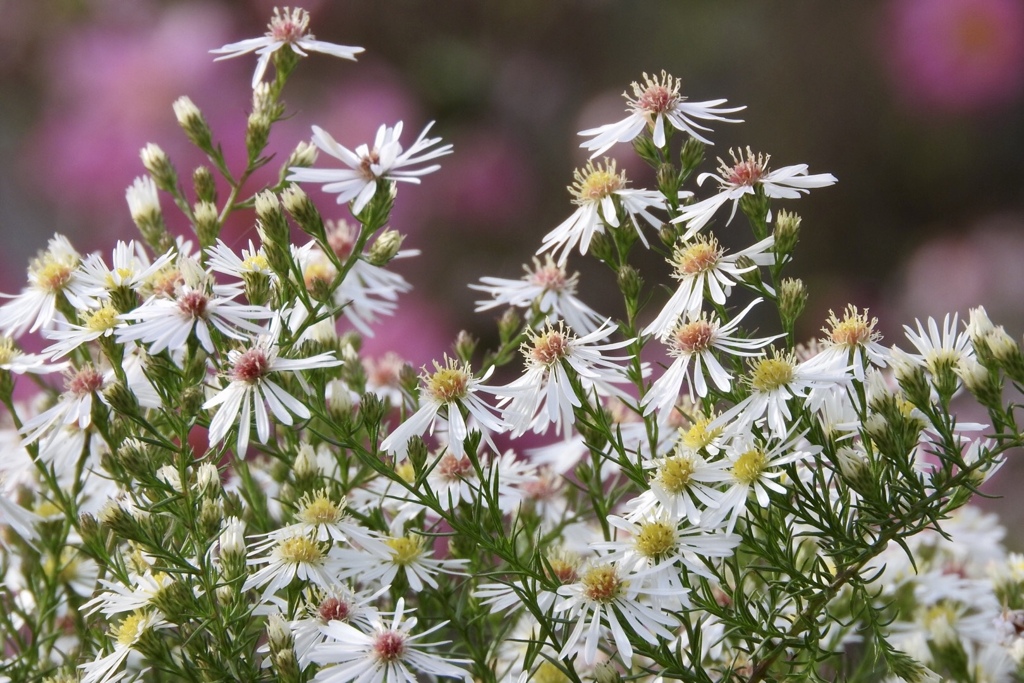 90DC380E-C0E2-40BE-9560-F0875C6429EC