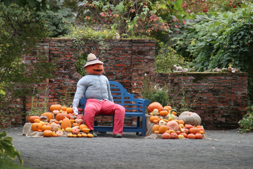 63D4CB23-収穫だっちゃ！