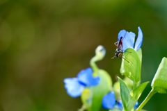 115AA080-B4EA-46ED-BC33-7C6A5B5C73D8